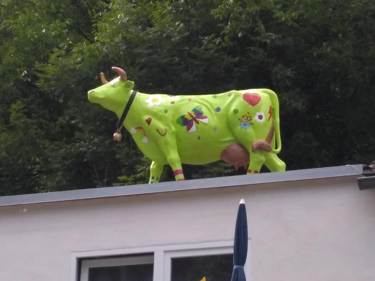 Pension Camping Schausten Cochem Exterior foto